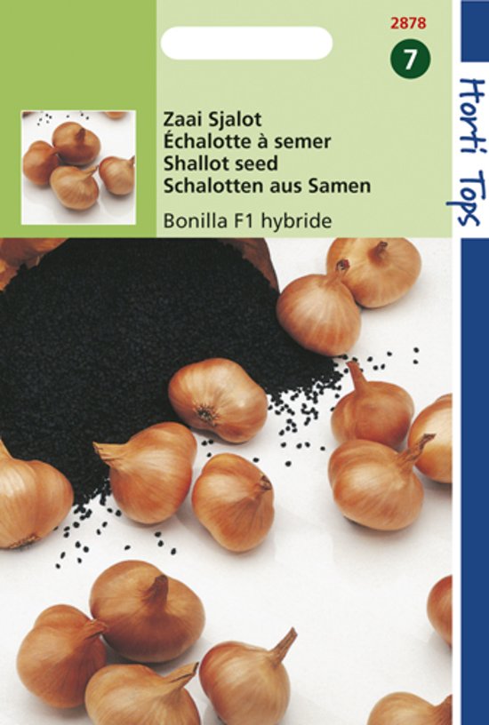 Shallot Creation F1 (Allium) 275 seeds